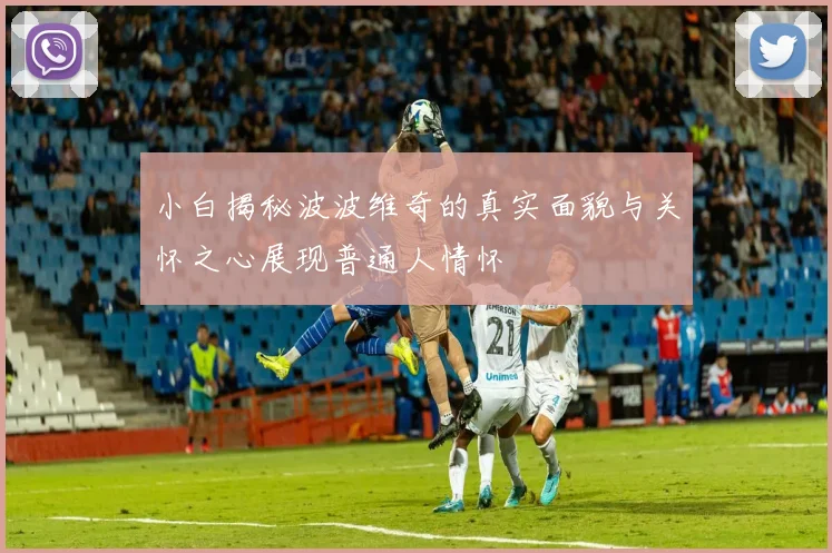小白揭秘波波维奇的真实面貌与关怀之心展现普通人情怀